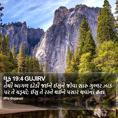 લૂક 19:4 GUJIRV Bible Verse Image
