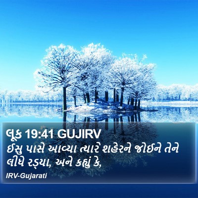 લૂક 19:41 GUJIRV Bible Verse Image