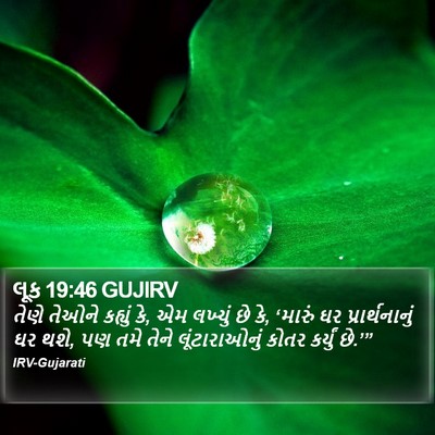 લૂક 19:46 GUJIRV Bible Verse Image