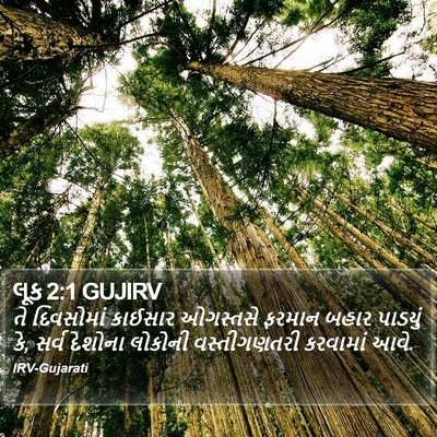 લૂક 2:1 GUJIRV Bible Verse Image