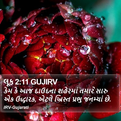 લૂક 2:11 GUJIRV Bible Verse Image