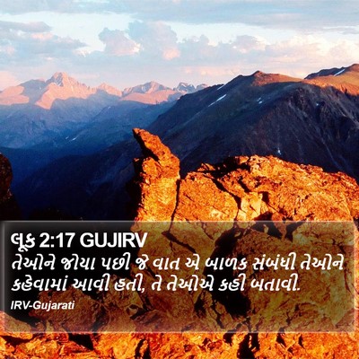 લૂક 2:17 GUJIRV Bible Verse Image
