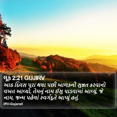 લૂક 2:21 GUJIRV Bible Verse Image