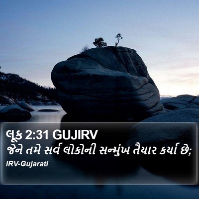 લૂક 2:31 GUJIRV Bible Verse Image