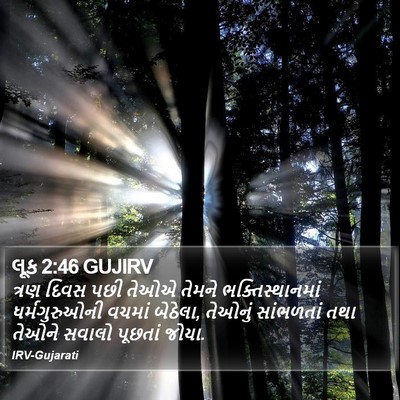 લૂક 2:46 GUJIRV Bible Verse Image