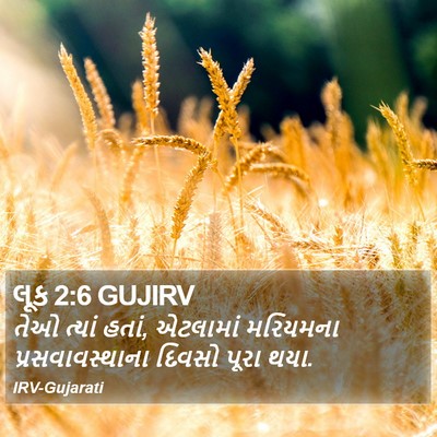 લૂક 2:6 GUJIRV Bible Verse Image