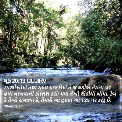 લૂક 20:19 GUJIRV Bible Verse Image