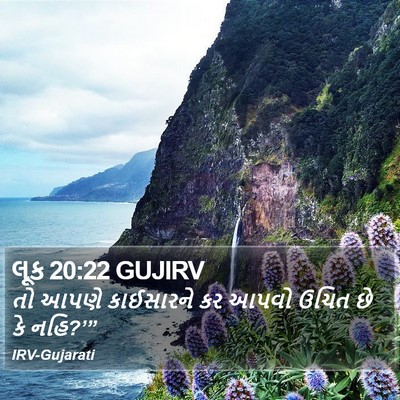 લૂક 20:22 GUJIRV Bible Verse Image