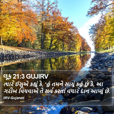 લૂક 21:3 GUJIRV Bible Verse Image