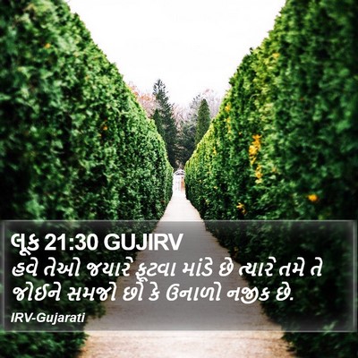લૂક 21:30 GUJIRV Bible Verse Image