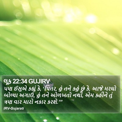 લૂક 22:34 GUJIRV Bible Verse Image