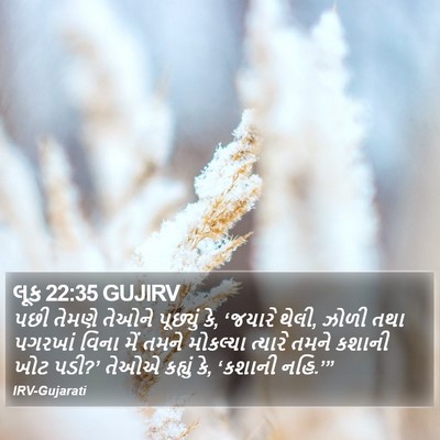 લૂક 22:35 GUJIRV Bible Verse Image