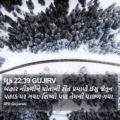 લૂક 22:39 GUJIRV Bible Verse Image