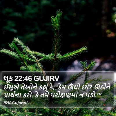 લૂક 22:46 GUJIRV Bible Verse Image