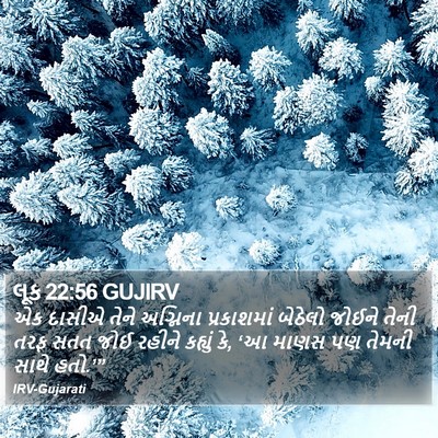 લૂક 22:56 GUJIRV Bible Verse Image