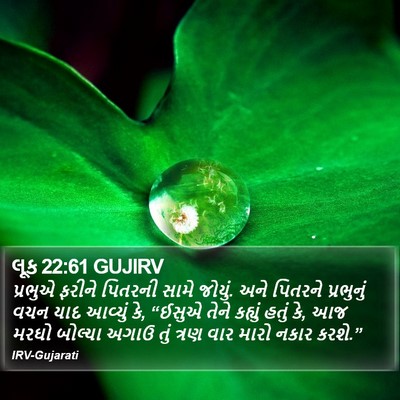 લૂક 22:61 GUJIRV Bible Verse Image