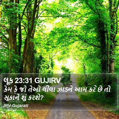 લૂક 23:31 GUJIRV Bible Verse Image