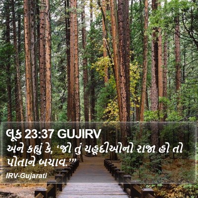 લૂક 23:37 GUJIRV Bible Verse Image