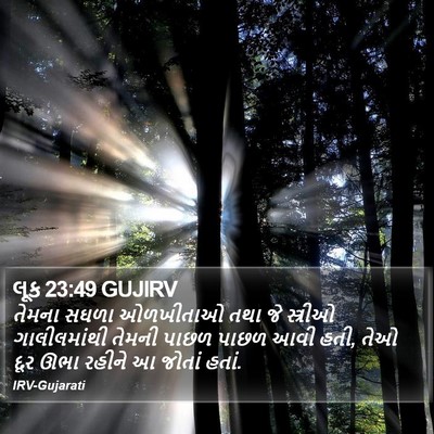 લૂક 23:49 GUJIRV Bible Verse Image