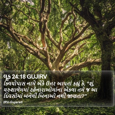 લૂક 24:18 GUJIRV Bible Verse Image
