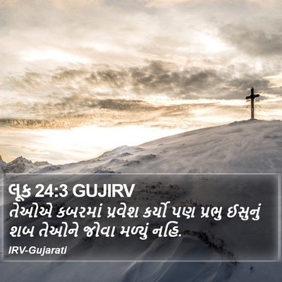 લૂક 24:3 GUJIRV Bible Verse Image