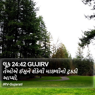લૂક 24:42 GUJIRV Bible Verse Image