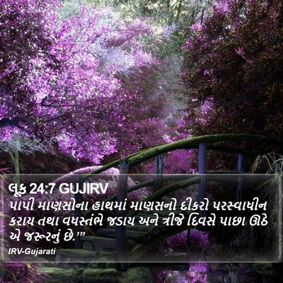 લૂક 24:7 GUJIRV Bible Verse Image