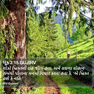 લૂક 3:15 GUJIRV Bible Verse Image