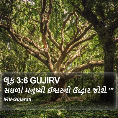 લૂક 3:6 GUJIRV Bible Verse Image