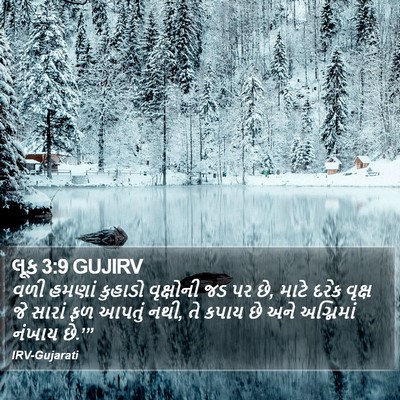 લૂક 3:9 GUJIRV Bible Verse Image
