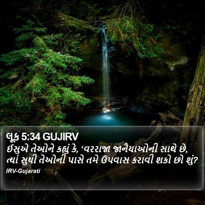 લૂક 5:34 GUJIRV Bible Verse Image