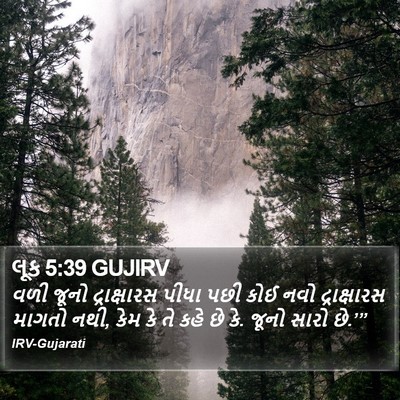 લૂક 5:39 GUJIRV Bible Verse Image