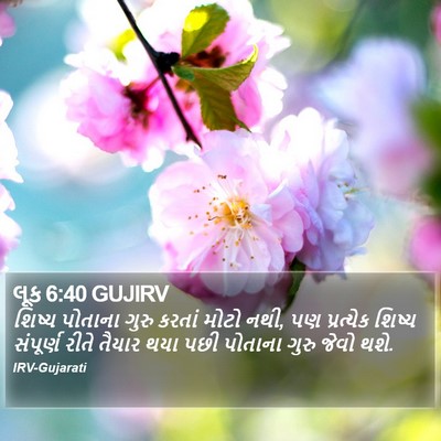 લૂક 6:40 GUJIRV Bible Verse Image