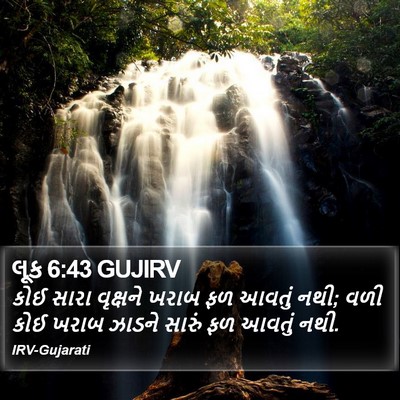 લૂક 6:43 GUJIRV Bible Verse Image