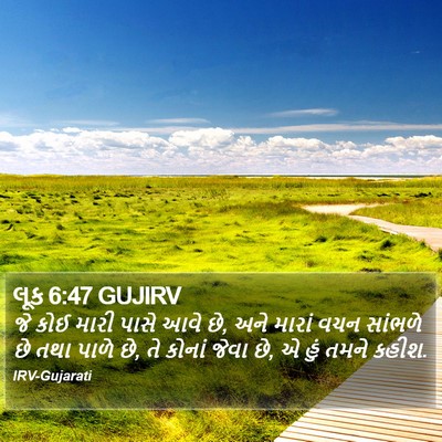 લૂક 6:47 GUJIRV Bible Verse Image