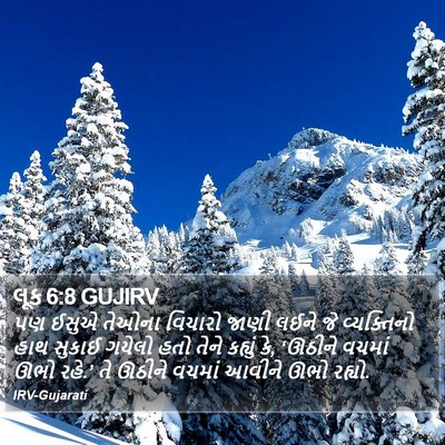 લૂક 6:8 GUJIRV Bible Verse Image