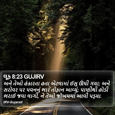 લૂક 8:23 GUJIRV Bible Verse Image