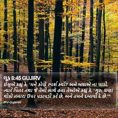 લૂક 8:45 GUJIRV Bible Verse Image