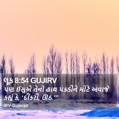 લૂક 8:54 GUJIRV Bible Verse Image