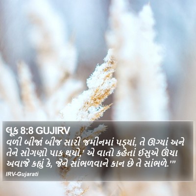 લૂક 8:8 GUJIRV Bible Verse Image