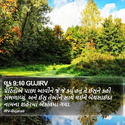 લૂક 9:10 GUJIRV Bible Verse Image