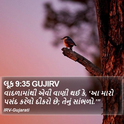 લૂક 9:35 GUJIRV Bible Verse Image