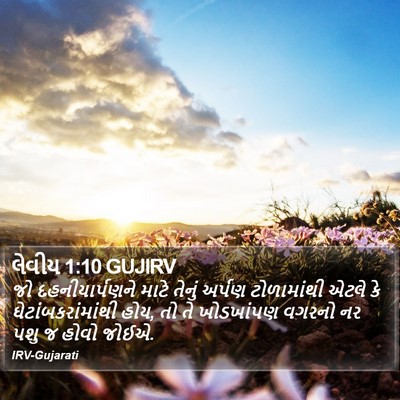લેવીય 1:10 GUJIRV Bible Verse Image