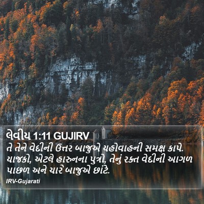 લેવીય 1:11 GUJIRV Bible Verse Image