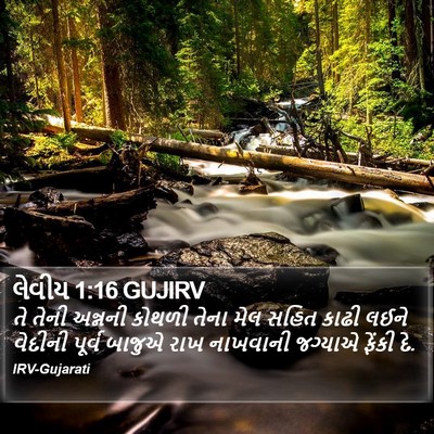 લેવીય 1:16 GUJIRV Bible Verse Image