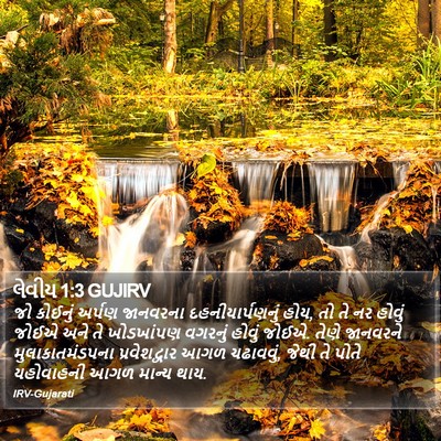 લેવીય 1:3 GUJIRV Bible Verse Image