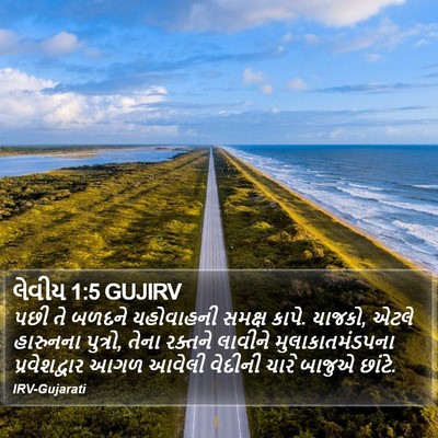 લેવીય 1:5 GUJIRV Bible Verse Image