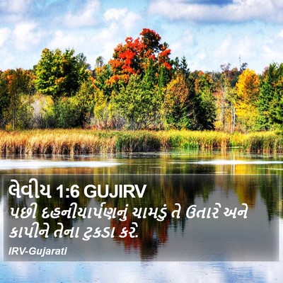 લેવીય 1:6 GUJIRV Bible Verse Image