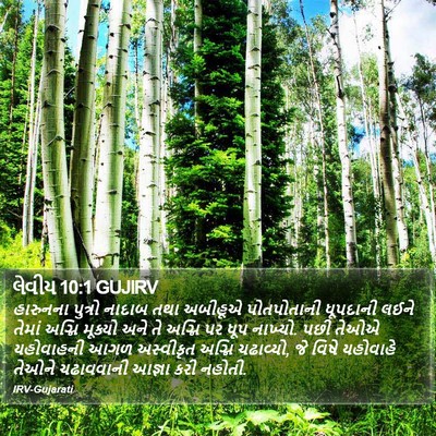 લેવીય 10:1 GUJIRV Bible Verse Image