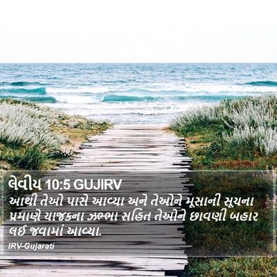 લેવીય 10:5 GUJIRV Bible Verse Image